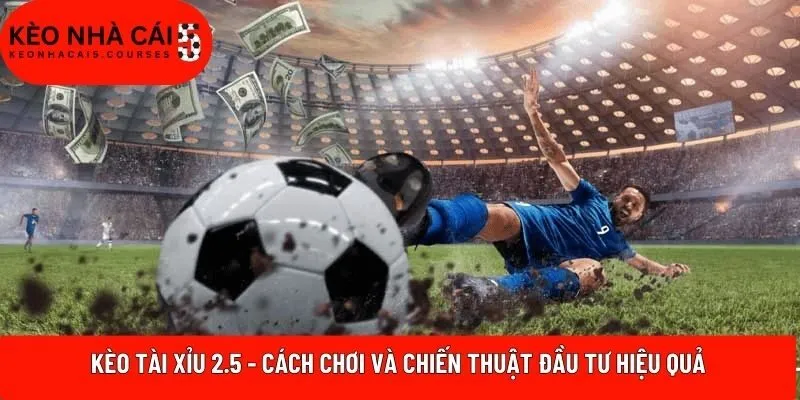 Kèo Tài Xỉu 2.5