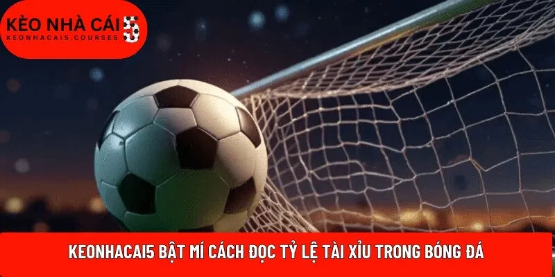 Keonhacai5 bật mí cách đọc tỷ lệ tài xỉu trong bóng đá